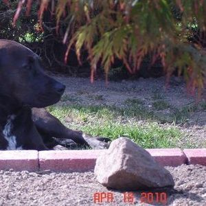 Meet your Posher, Linda